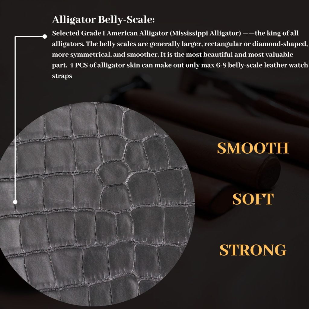 Alligator skin belly scale leather material Why our crocodile leather strap is expensive inroduction about replacement watch band hao