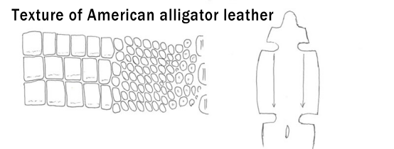 Texture of American alligator leather Daydaywatchband