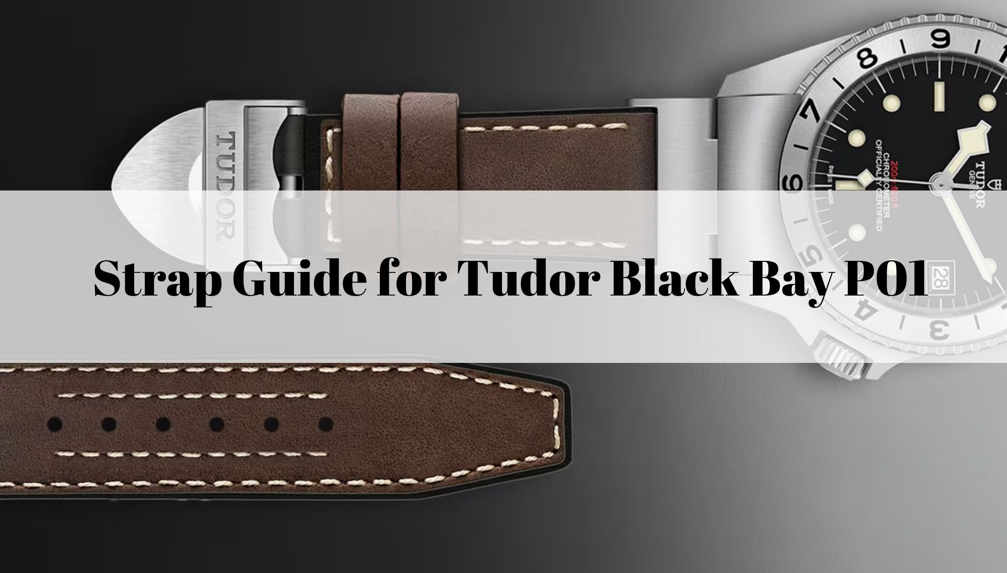 Strap Guide for Tudor Black Bay P01 Daydaywatchband