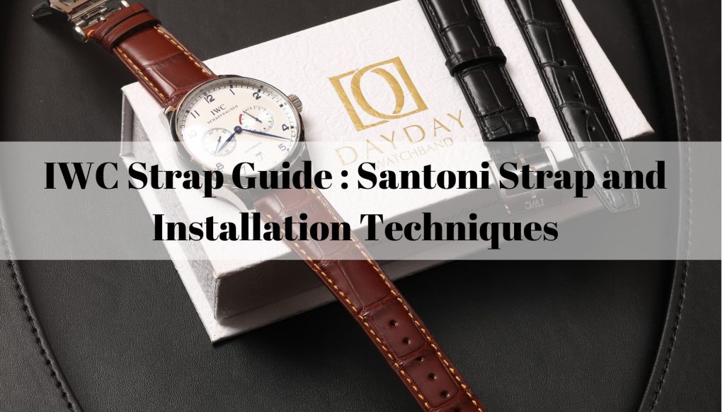 IWC Strap Guide : Santoni Leather Strap And Installation Techniques