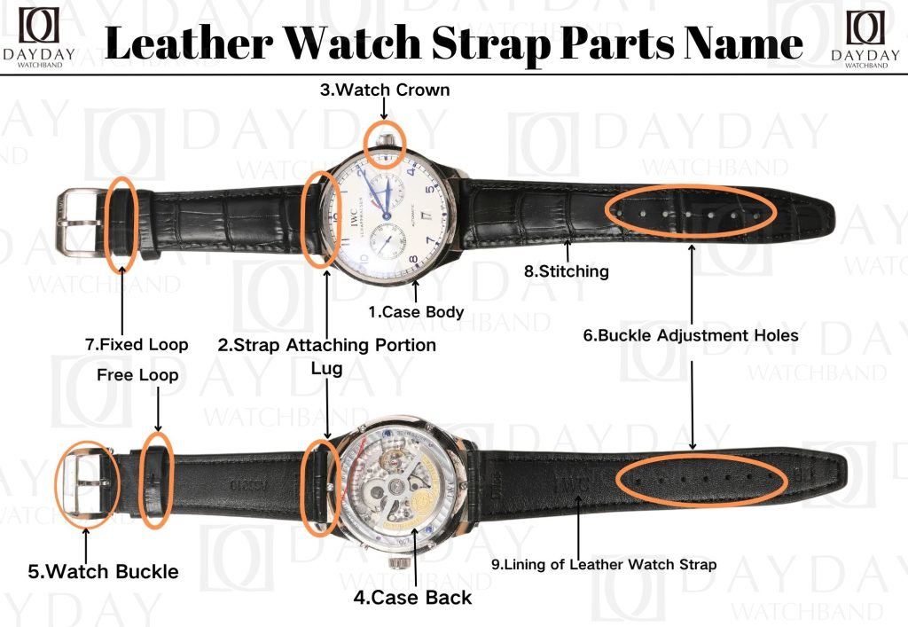 Daydaywatchband watch strap band parts name replacement lug buckle loop case back