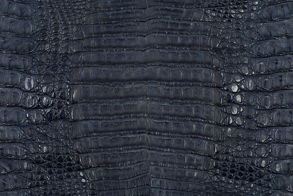 Choosing an Leather Watch Strap: Expert Tips for Smart Buyers 13 CAIMAN_GALANONAVY_2__40942