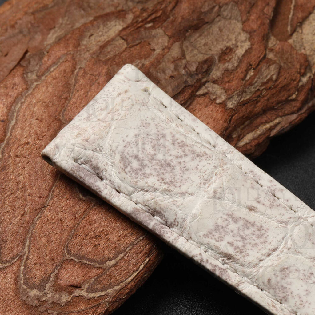 alligator leather strap rolex daytona himalayan white lug texture macro
